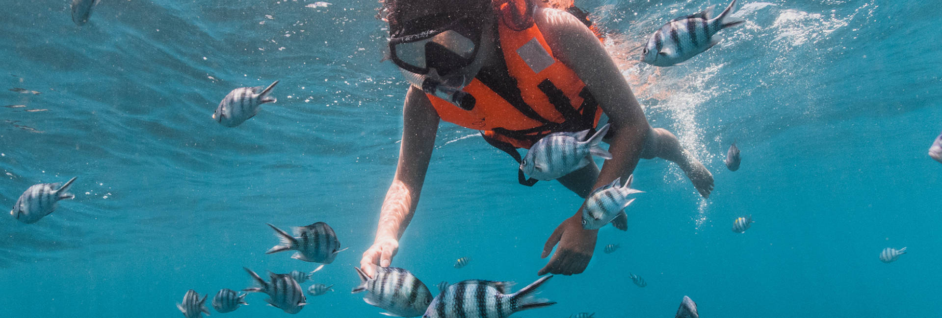banner-tioman-resort-snorkelling